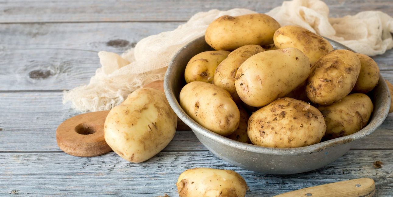 Frisch vom Feld: Jetzt beginnt die Saison für deutsche Frühkartoffeln.