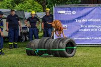 Spannende Infos rund um die Technik von Rettern und Helfern gab es beim Tag der offenen Tür beim THW in Böblingen.