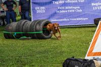 Spannende Infos rund um die Technik von Rettern und Helfern gab es beim Tag der offenen Tür beim THW in Böblingen.