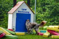 Spannende Infos rund um die Technik von Rettern und Helfern gab es beim Tag der offenen Tür beim THW in Böblingen.