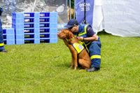Spannende Infos rund um die Technik von Rettern und Helfern gab es beim Tag der offenen Tür beim THW in Böblingen.