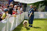 Spannende Infos rund um die Technik von Rettern und Helfern gab es beim Tag der offenen Tür beim THW in Böblingen.
