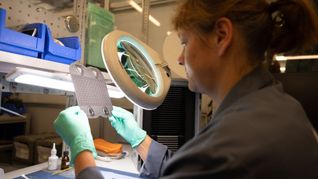 GreenTech-Start-ups ziehen Investitionen an.
