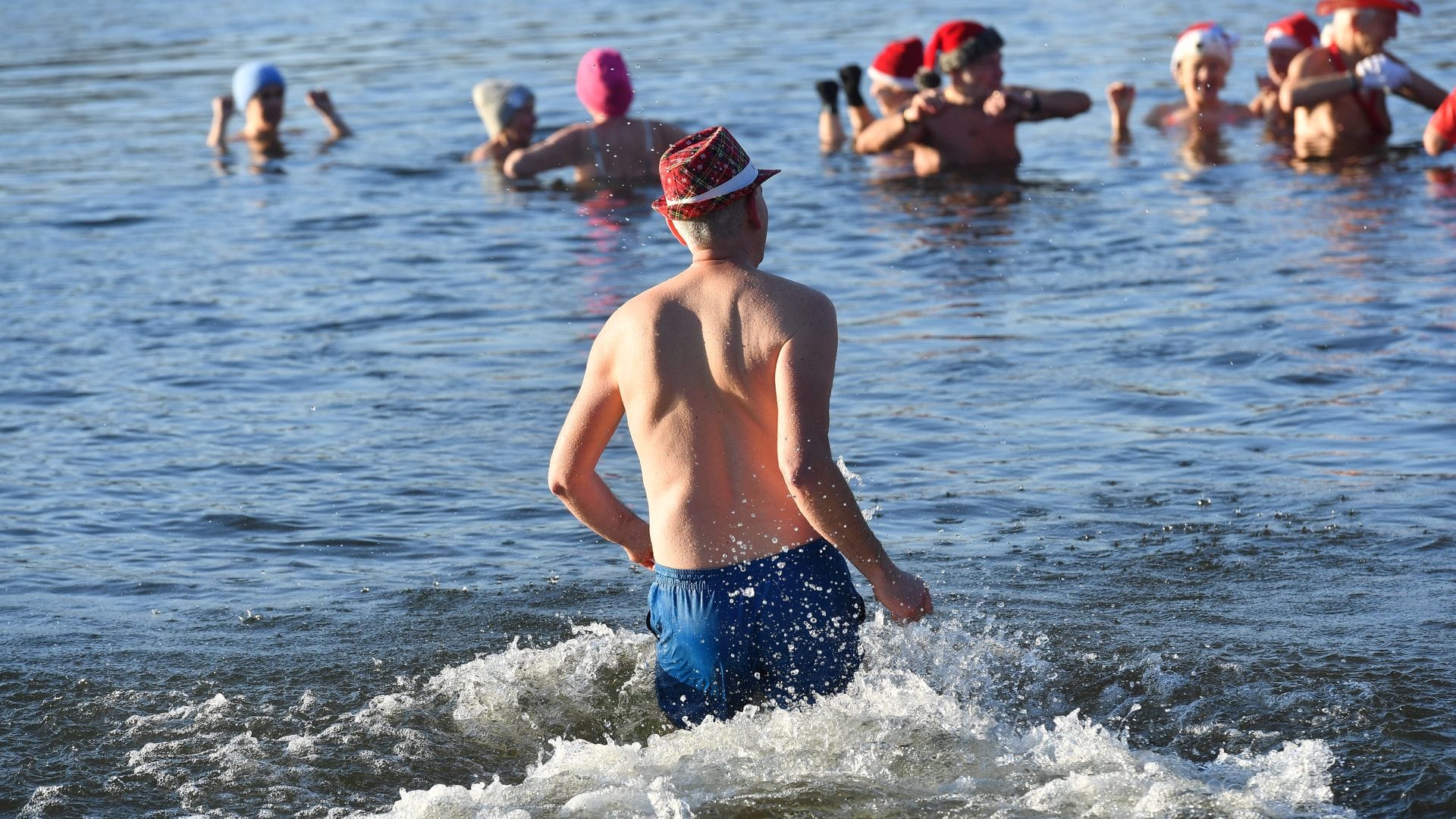 Nicht nur an Weihnachten und Neujahr baden die Berliner Seehunde bei eiskalten Temperaturen im Berliner Orankesee.