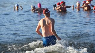 Nicht nur an Weihnachten und Neujahr baden die Berliner Seehunde bei eiskalten Temperaturen im Berliner Orankesee.