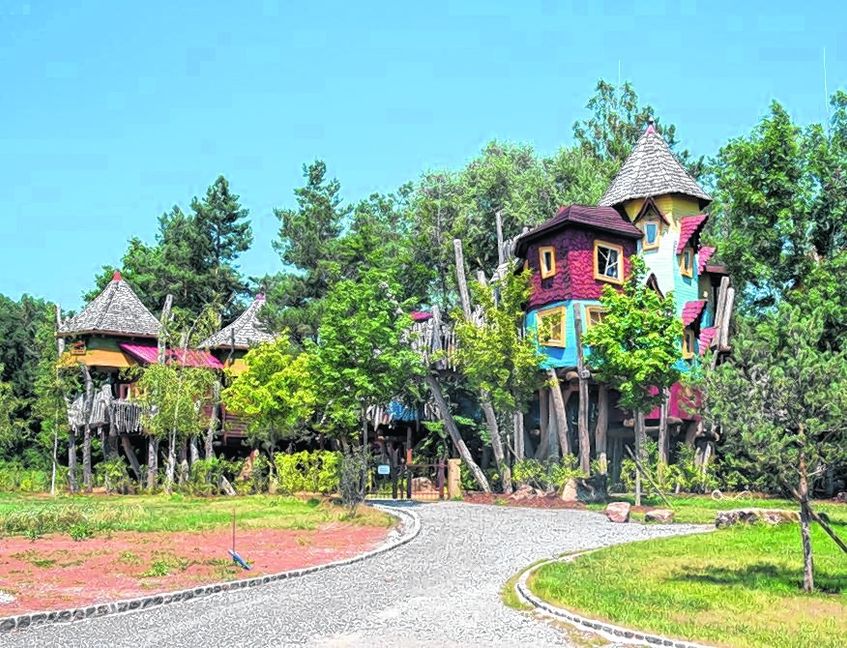 Verwunschen zwischen den Bäumen des Schönbuchs liegt das Baumhaushotel der Oase Weil im Schönbuch. Bild: Nüßle