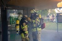 Die Hauptübung der Sindelfinger Feuerwehr bestand aus mehreren Teilen: Erst zeigten sie mit historischen Löscheinheiten, wie früher das Feuer bekämpft wurde - anschließend retteten sie aus dem Maichinger Bürgerhaus Personen über tragbare Leitern und Drehleiter.