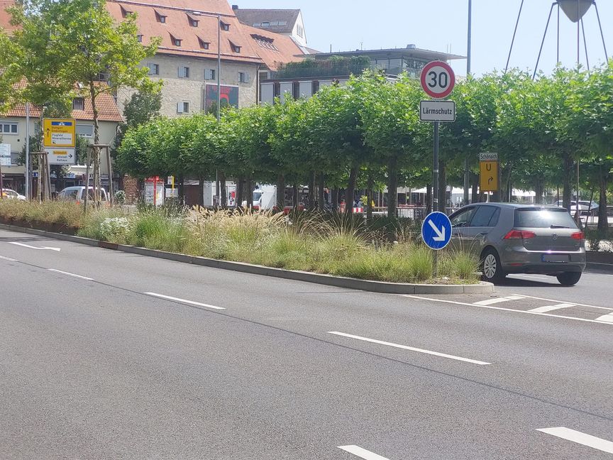 In der Herrenberger Straße Richtung Elbenplatz gilt Tempo 30. Für einige Autofahrer  ist das aber offenbar keine Vorschrift, sondern allenfalls eine Option.