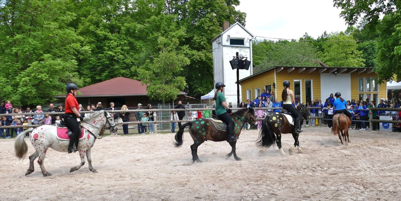 50 Jahre Sindolino: Das wurde am Samstag gefeiert.