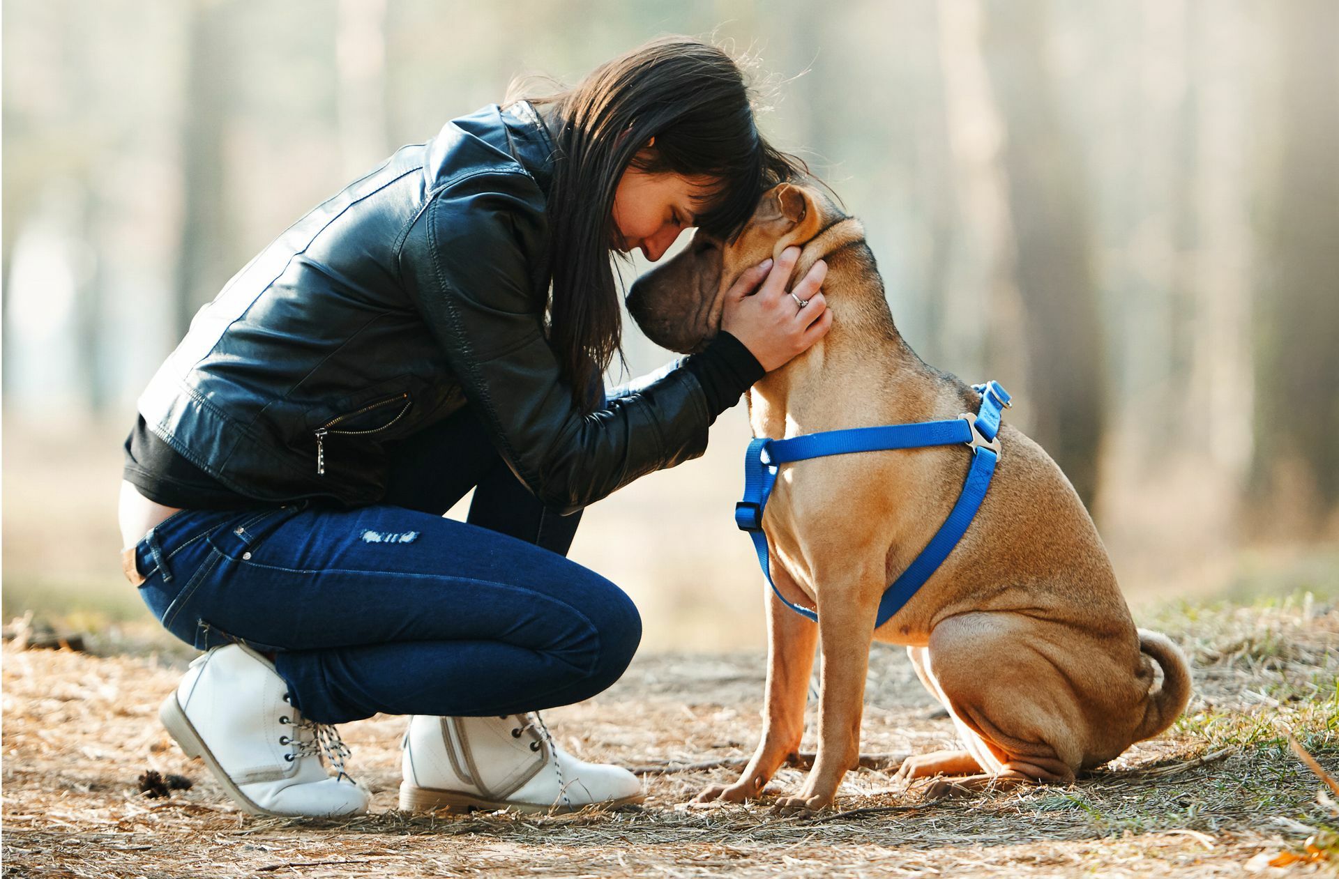 Ein Haustier zum Kuscheln? Ein Haustier, das einen versteht? Hunde und Katzen sind nicht unbedingt pflegeleicht, doch sie können gut mit ihren Besitzern kommunizieren. Foto: Adobe Stock/Aliaksei Las..