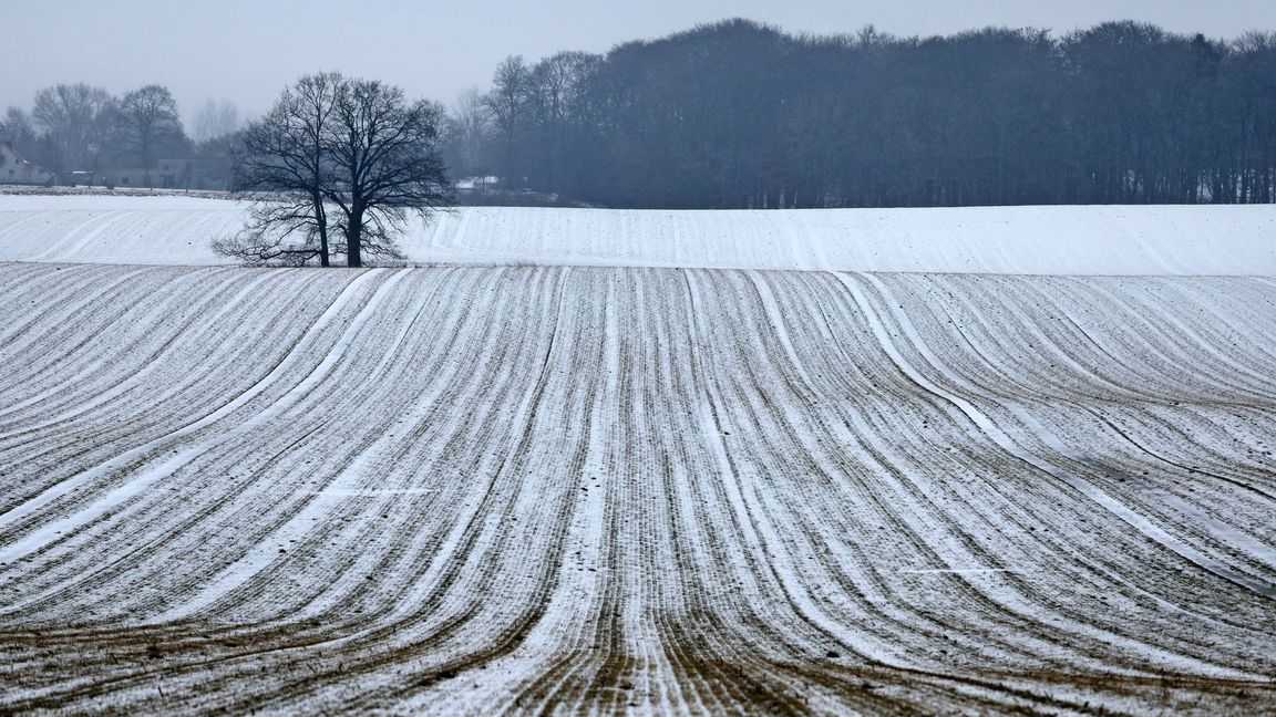Schnee bis in die Niederungen ist am Samstag für die Mitte und den Süden vorhergesagt.