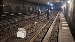 Die Entenfamilie hatte es sich auf S-Bahngleisen gemütlich gemacht.