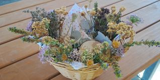 Getrocknete Wildblumen werden hier mit allen Sinnen erfahrbar: Lavendel im Tuch lädt zum Riechen ein, Abdrücke in Modelliermasse machen die Pflanzenstrukturen sichtbar und fühlbar.