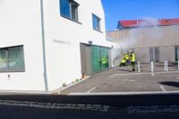Die Schauübung der Gesamtfeuerwehr Weil im Schönbuch lockte viele Zuschauer an.