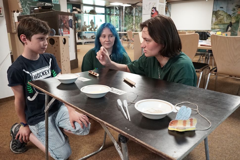 Alicia Bayer r. und Patricia Stuhrmann vom N.E.S. erklären beim Wildbienen-Aktionssonntag den Bau eines Brutröhrenmodells. Bild Heiden