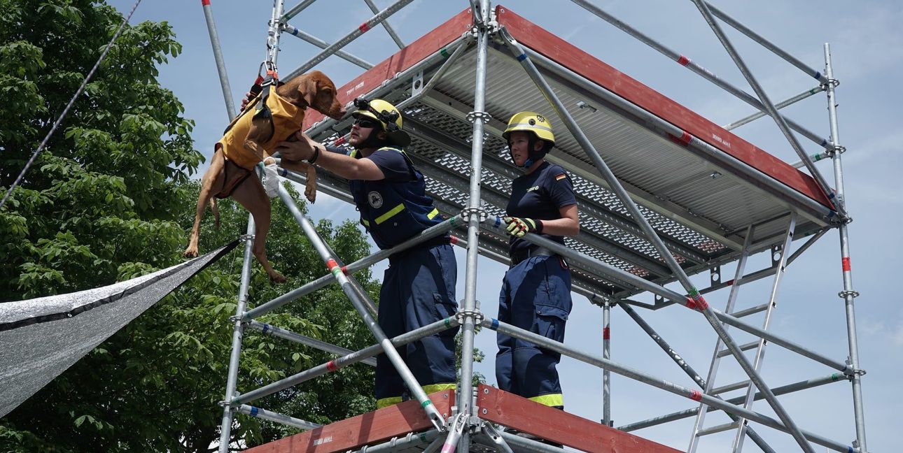 Auch die Rettung für den Rettungshund gab es beim THW am Tag der offenen Tür zu bestaunen.
Bild: Heiden
