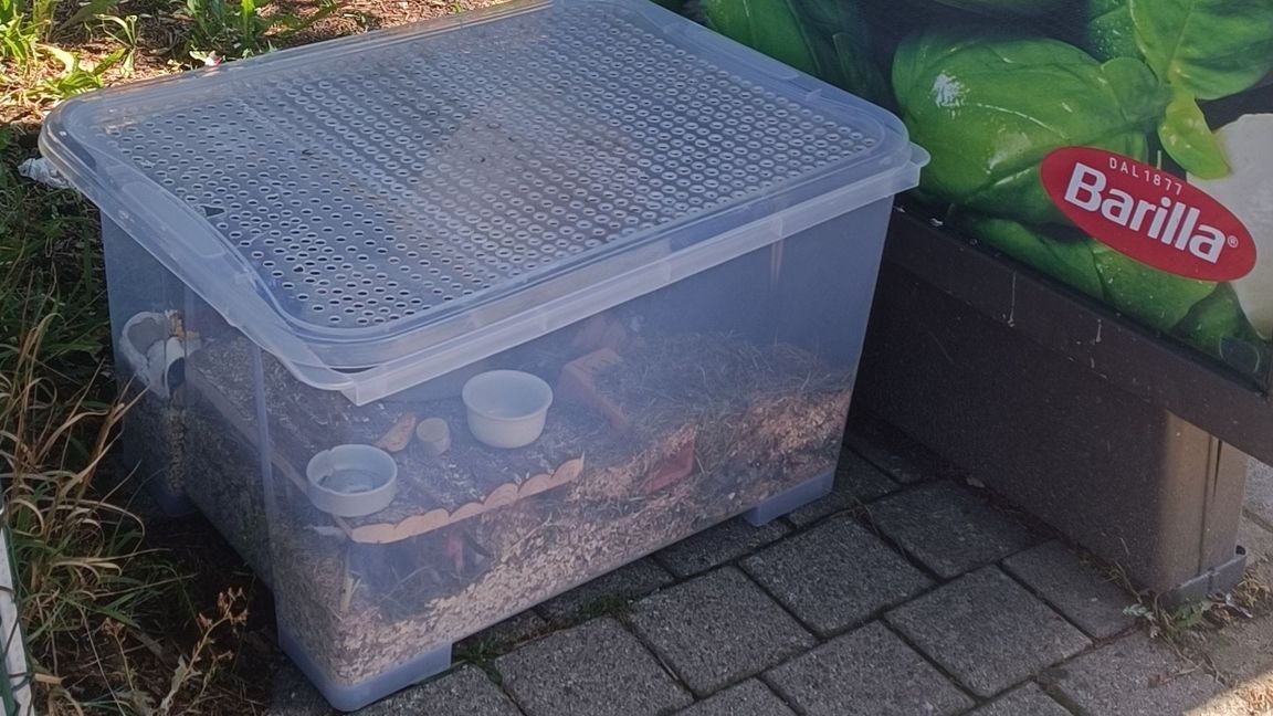 Der Hamster hatte offenbar mehrere Tage keinen Zugang zu Nahrung und Flüssigkeit.