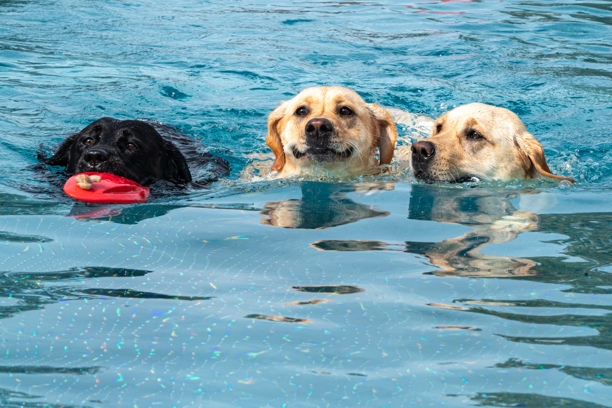 Im Team schwimmt es sich besser.