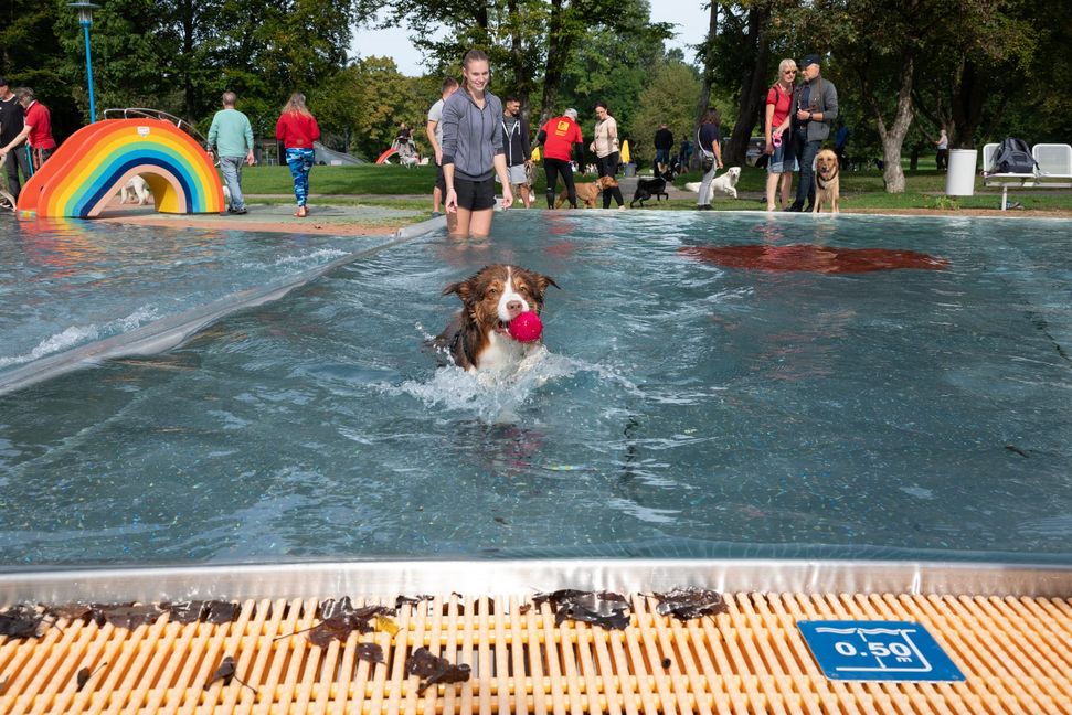 Honeybee von Nina Lang liebt das Kinderbecken.