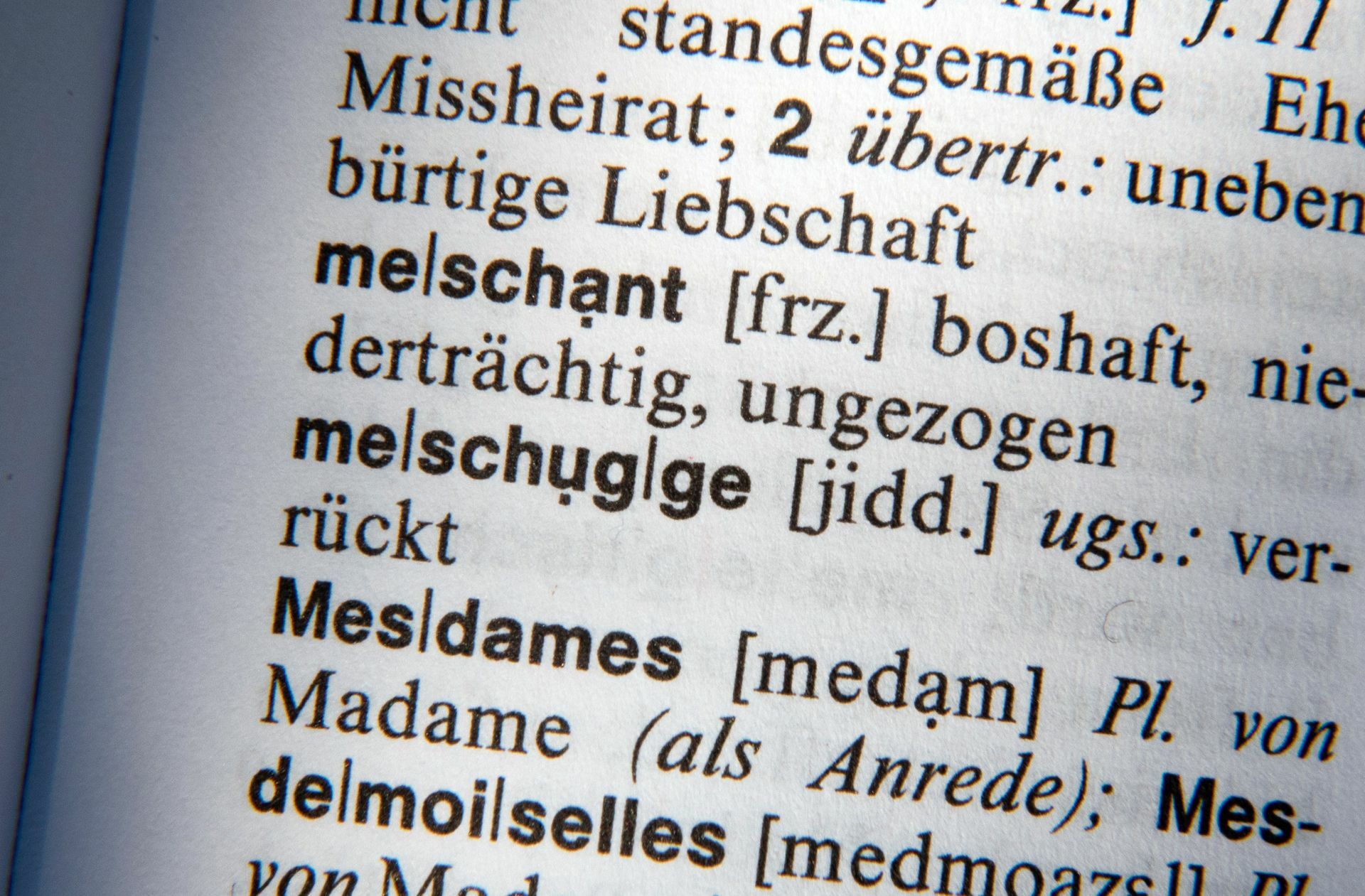 Wörter jüdischer Herkunft gibt es viele im Duden.