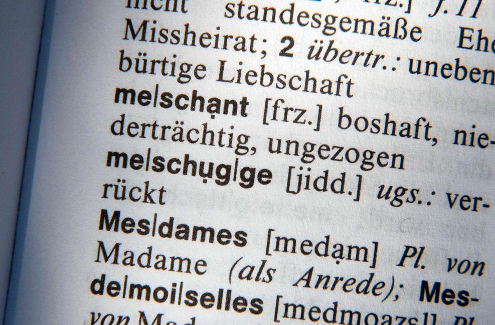 Wörter jüdischer Herkunft gibt es viele im Duden.