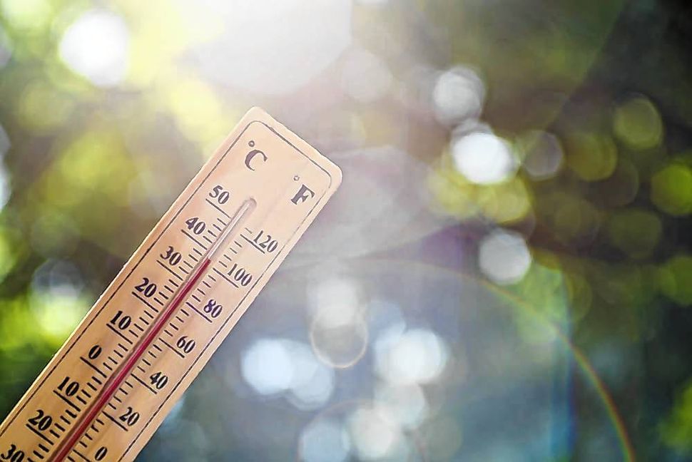 Erfahren Sie, wann 2024 Siebenschläfer ist und woher die Bauernregel kommt. (7-Schläfer: Datum, Herkunft & Wahrscheinlichkeit.