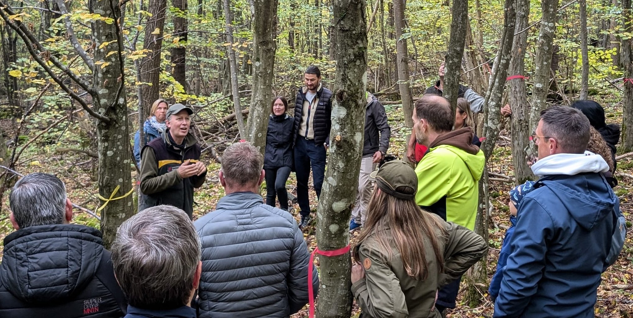 Beim Waldbegang im vergangenen Jahr besichtigten die Gemeinderäte relativ junge Waldgebiete.