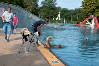 Viel Spaß für Mensch und Tier beim Hundeschwimmen in Sindelfingen.