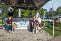 Viel Spaß für Mensch und Tier beim Hundeschwimmen in Sindelfingen.