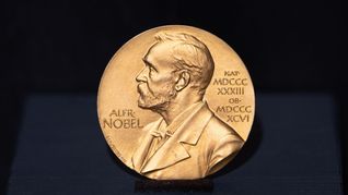 Die Medaille, die für einige Tage die Welt bedeutet. (Archivbild)