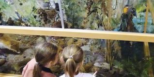 Kinder vor dem Wald-Diorama des Vogelzentrums.