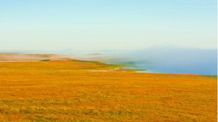 Permafrost in der sibirischen Tundra.
