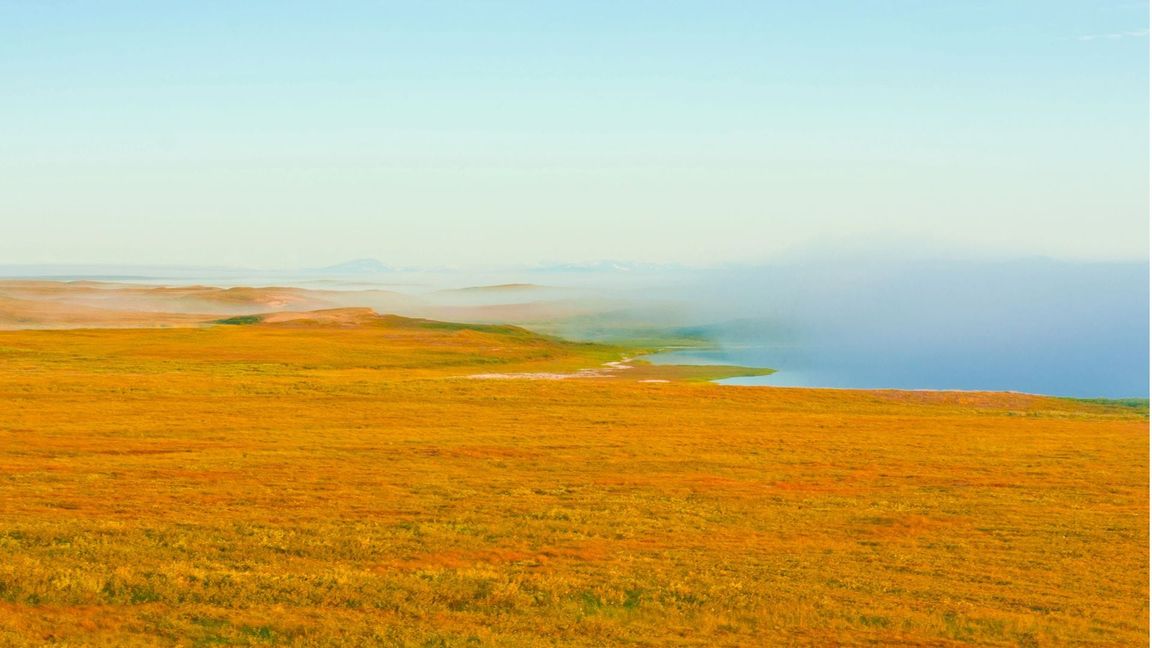 Permafrost in der sibirischen Tundra.