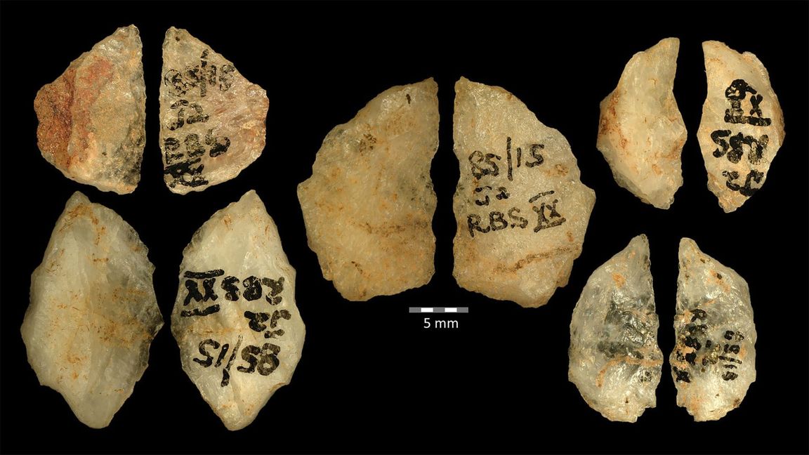 Die Vor- und Rückseiten der fünf 60.000 Jahre alten Pfeilspitzen mit dem Gift von Boophone. Sie stammen aus dem Umhlatuzana-Felsüberhang in Südafrika.