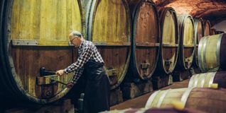 Kellermeister Jürgen Off in seinem Element. Bild: Weinmanufaktur Stuttgart