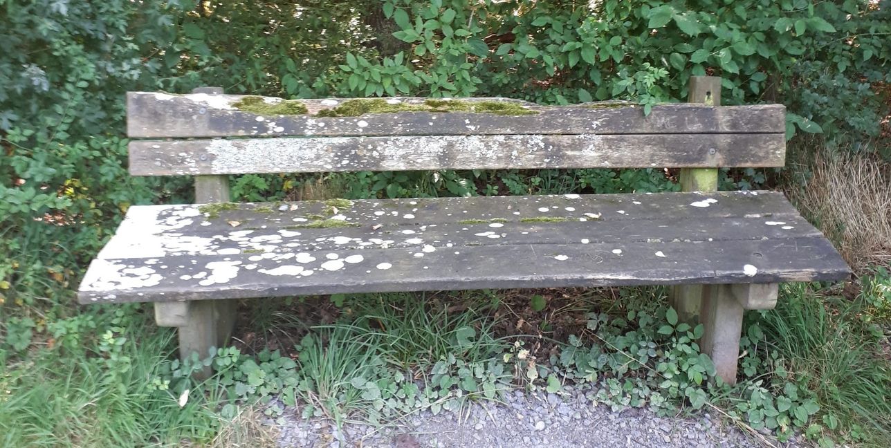 Morsch: Die Bank im Täle.Bild:  z