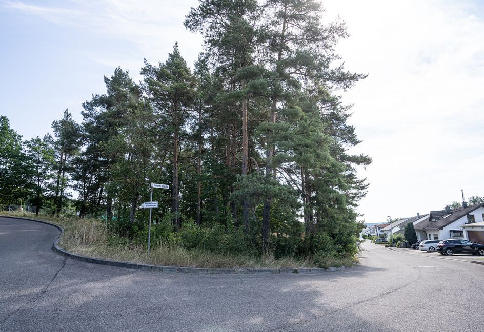 In dieser Kurve „Unterm Wäldle“ in Dachtel soll der neue Kindergarten entstehen. Bild: Richter