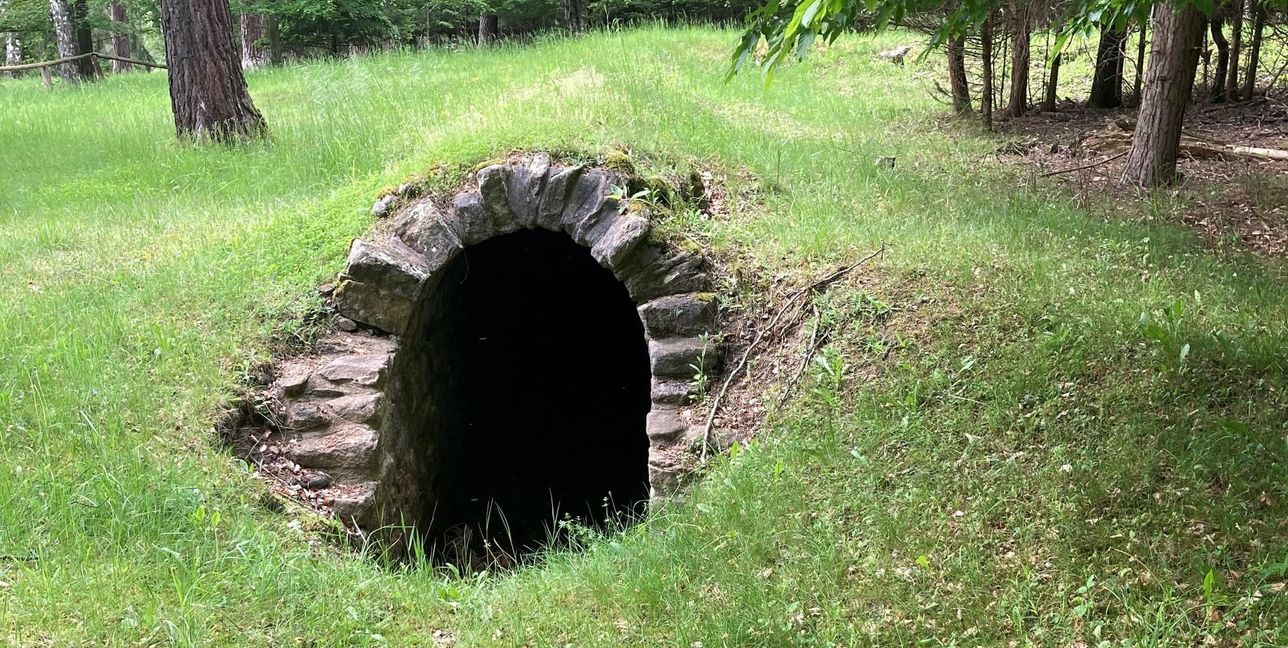 Überwachsen und so mittlerweile gut getarnt liegen die Pirschgänge im Böblinger Wald auf dem Areal der amerikanischen Streitkräfte.