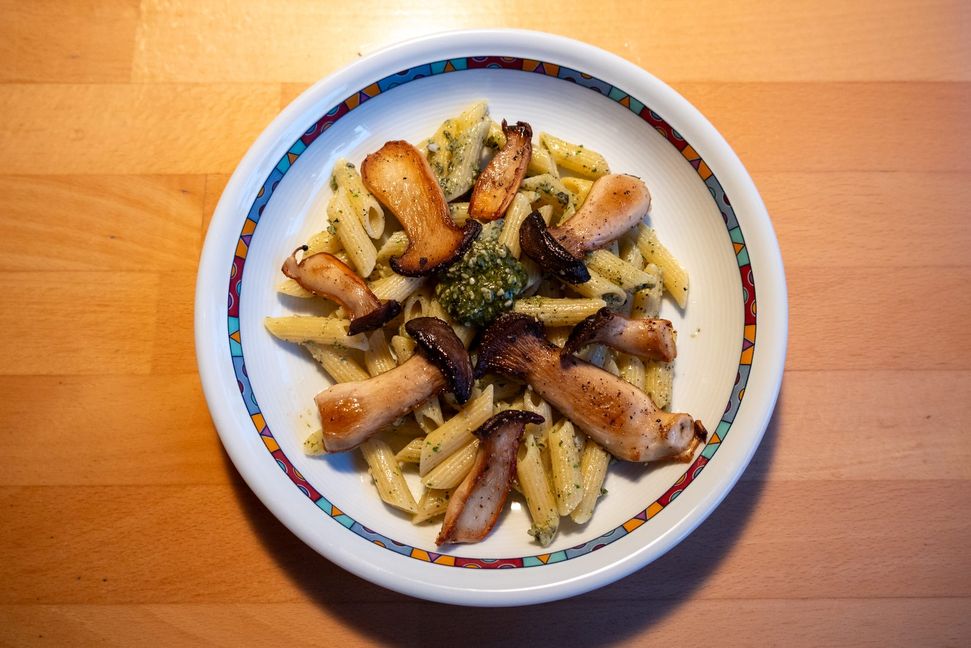 Nudeln mit Kürbispesto und Kräuterseitlingen. Bild: Nüßle