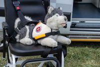 Das Blaulichtfest bot Blaulichtgottesdienst, Konzert, Kinderprogramm, Vorführungen, Solitude-Rundfahrt mit aktuellen und Oldtimer-Einsatzfahrzeugen.