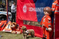 Das Blaulichtfest bot Blaulichtgottesdienst, Konzert, Kinderprogramm, Vorführungen, Solitude-Rundfahrt mit aktuellen und Oldtimer-Einsatzfahrzeugen.