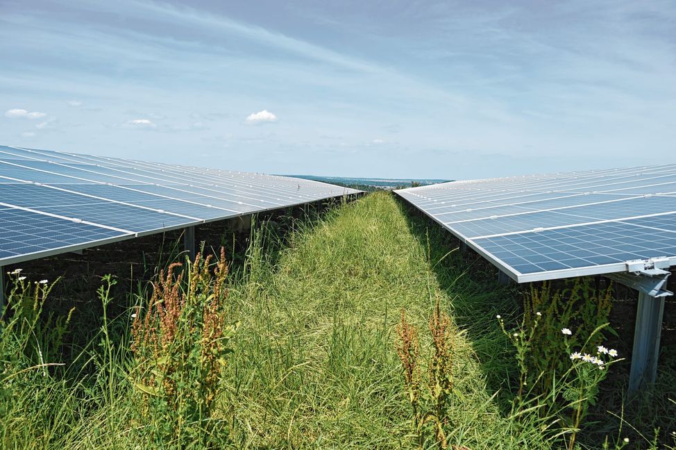 Von so großen Solaranlagen konnten sie in Ehningen nur träumen.