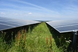 Von so großen Photovoltaikanlagen konnten die Mitglieder der nun aufgelösten Energiegenossenschaft Solar-aktives Ehningen nur träumen.    Bild: Reichert