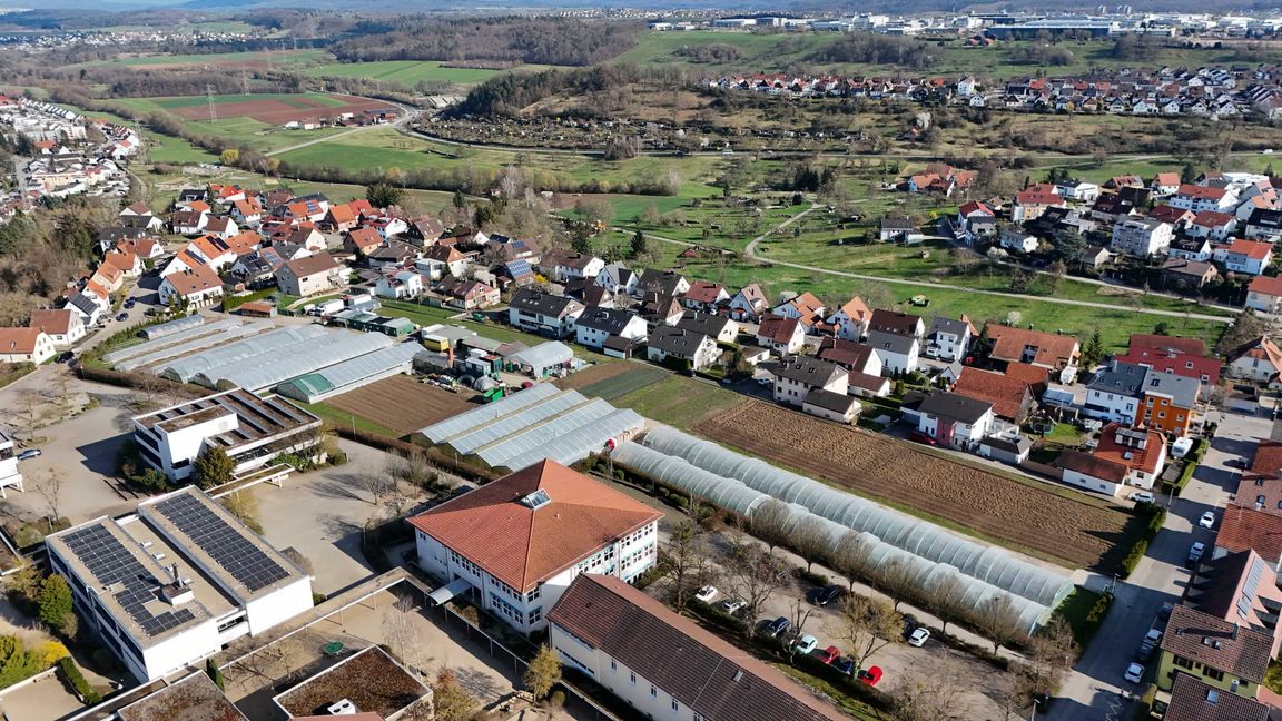 Die Gärtnerei Wacker hat am jetzigen Standort inmitten der Bebabuung keinen Platz für eine Erweiterung. Bild: Dettenmeyer