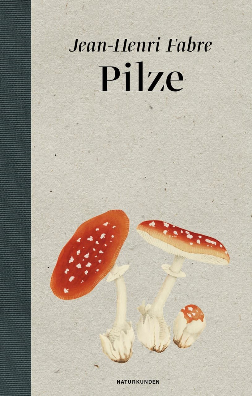 Jean-Henri Fabre: Pilze