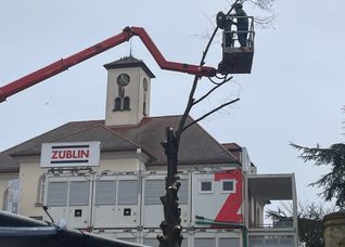 Auch alle Äste müssen sorgfältig runtergesägt werden. ß