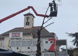 Auch alle Äste müssen sorgfältig runtergesägt werden. ß