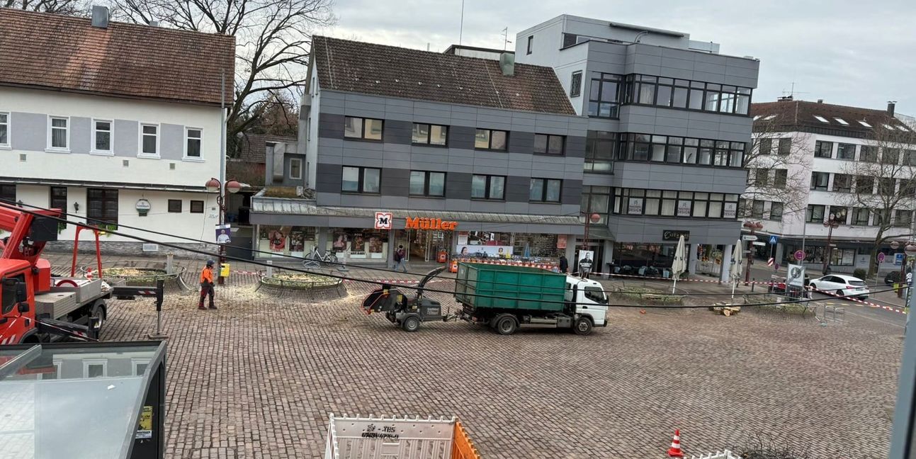 Die Bäume am Marktplatz mussten weichen.
