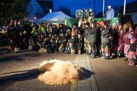 Halligalli und gute Laune: So war der Fasnetsauftakt in Aidlingen mit der neuen Bürgermeisterin Helena Österle.
