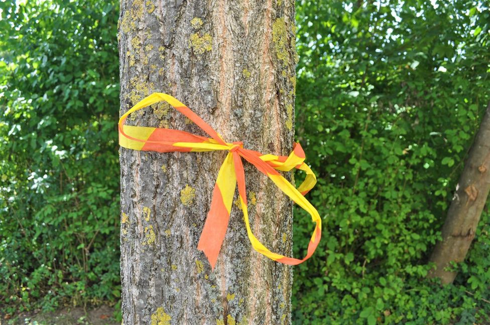 Wo das gelbe Band am Baum ist, darf gratis geerntet werden.